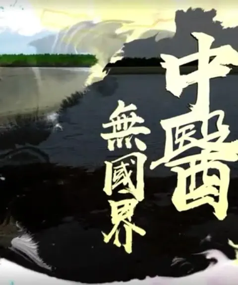 中医无国界封面