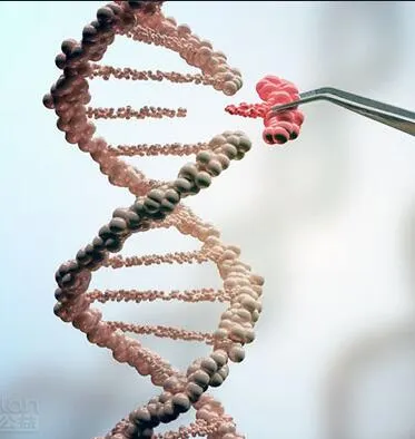 医学大突破—编辑你的基因封面