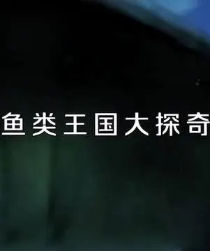 鱼类王国大探奇封面