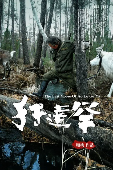 犴达罕 猎人维加 /封面