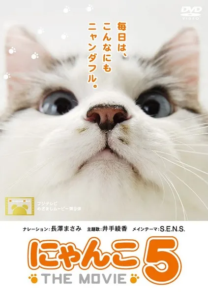 猫咪物语5封面