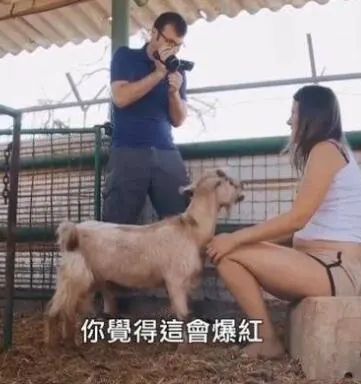 打造爆红影片方式封面