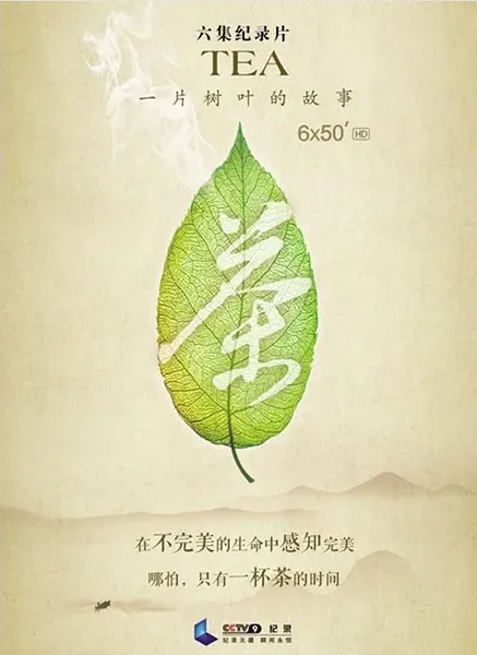 一片树叶的故事封面