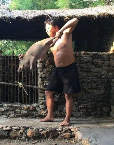 原始生活封面