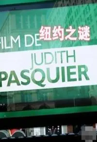 纽约之迷封面