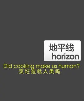 烹饪造就人类吗封面