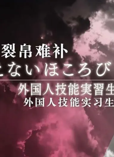 裂帛难补 ~外国人技能实习生和纺织之乡~ 裂帛难补封面
