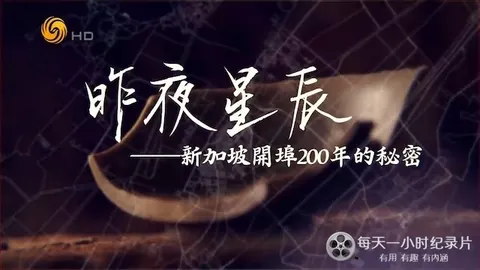 昨夜星辰：新加坡开埠200年的秘密 2019封面