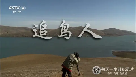 追鸟人封面