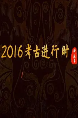 探索发现：2016考古进行时封面