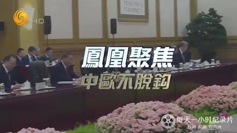 中欧不脱钩封面