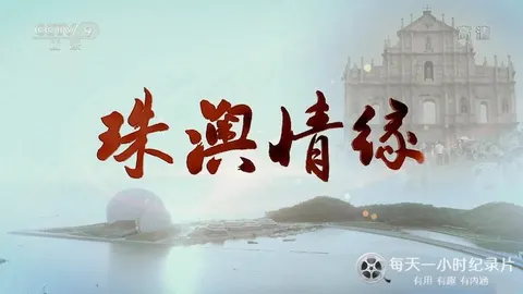 珠澳情缘封面