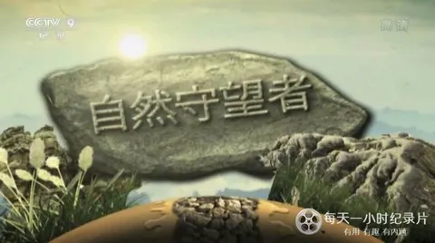 自然守望者 第2季封面