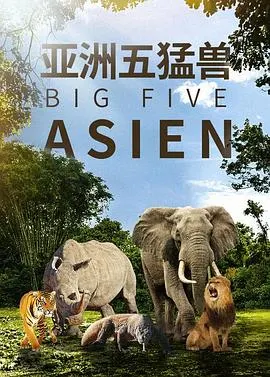 亚洲五猛兽封面