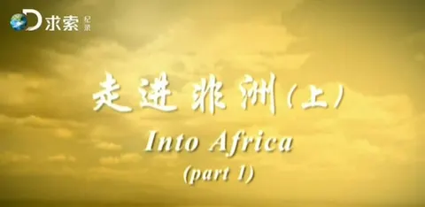 中企在海外封面