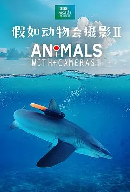 假如动物会摄影封面
