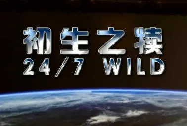 寰宇视野 初生之犊封面