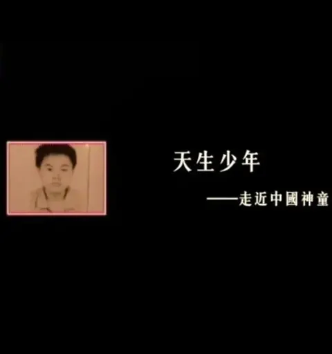 天生少年——走近中国神童封面