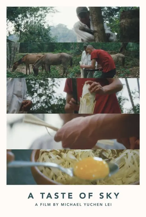 天空的味道封面