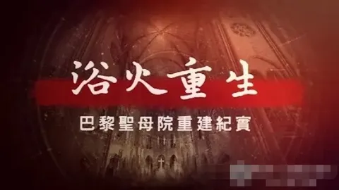 浴火重生·巴黎圣母院重建纪实：修复拱顶 2024封面