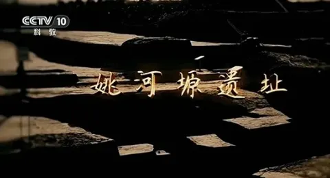 姚河塬遗址 2020封面