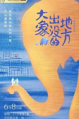 大象出没的地方封面