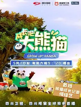 成长吧！大熊猫封面