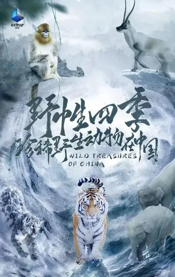 野性四季：珍稀野生动物在中国封面