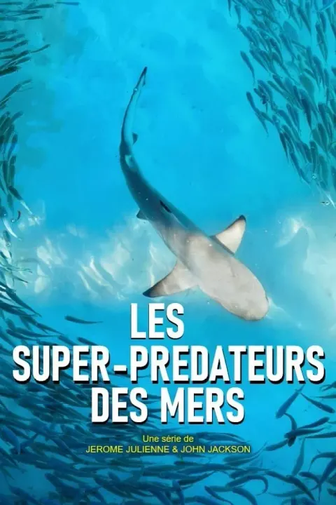 海洋天才小猎手封面