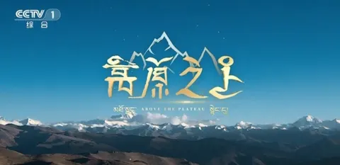 高原之上封面