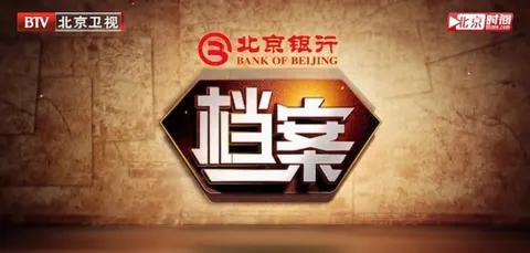 档案2011封面