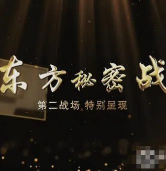 第二战场 东方秘密战 2022封面