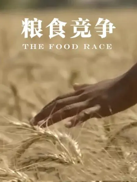 粮食竞争封面