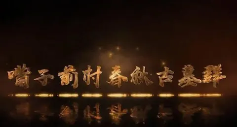嘴子前村春秋古墓群 2022封面