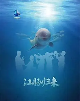 江豚归来封面