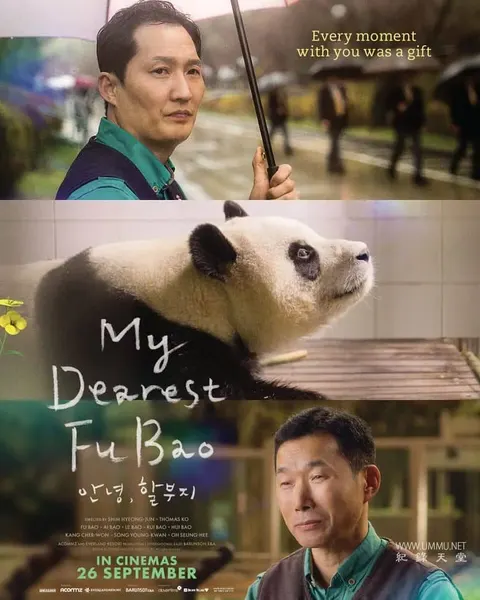 再见，福宝封面