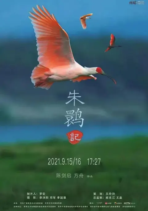 朱鹮记 2022封面