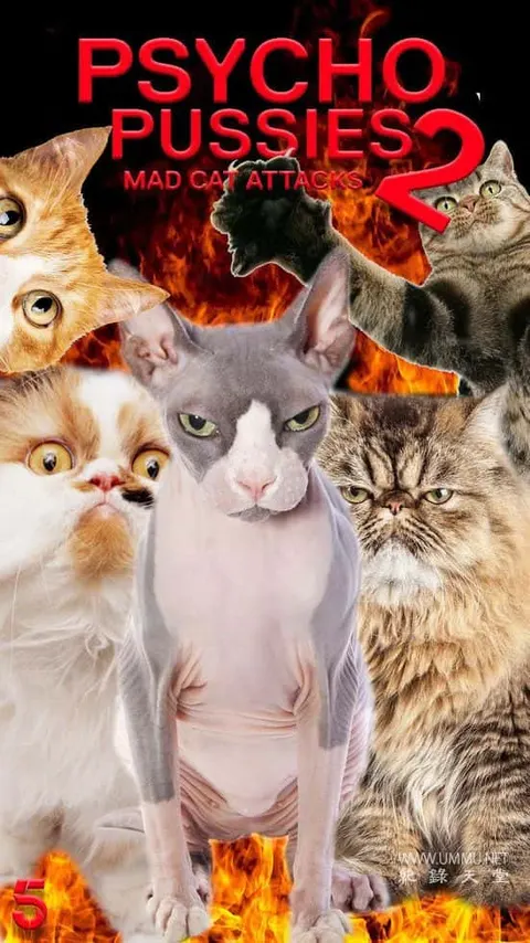 神经质猫咪 2：疯猫来袭封面