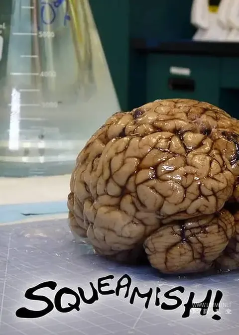 全球最恶心封面