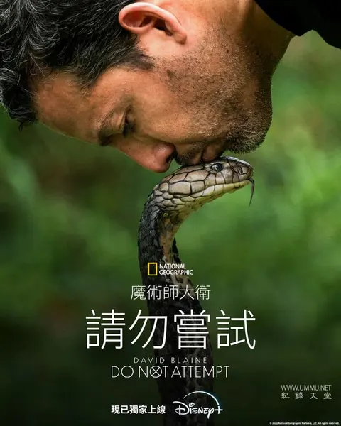 大卫·布雷恩：请勿尝试封面