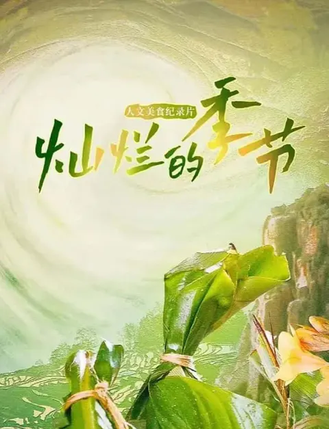 灿烂的季节封面