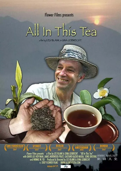 尽在此茶中封面