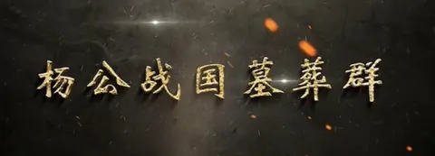杨公战国墓葬群 2024封面