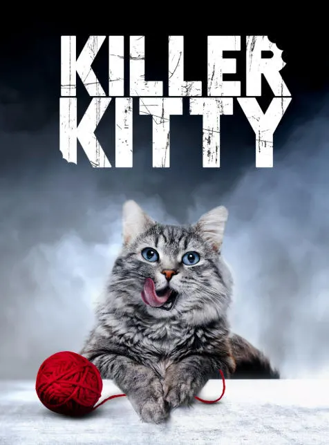 猫咪杀手封面